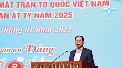 Deputy Prime Minister Bui Thanh Son attends the Tet Sum Vay program
