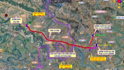 Hai Duong invests more than 786 billion VND to build a road connecting Hai Phong