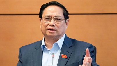 Thủ tướng: 'Chúng ta cứ đấu thầu nhưng cuối cùng quân xanh, quân đỏ, kỷ luật liên tục'