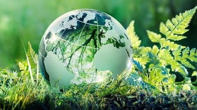 Einrichtung des Organisationskomitees der Konferenz „Partnership Forum for Green Growth“