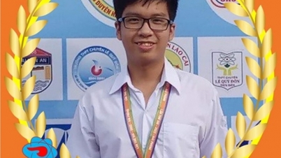 Los estudiantes de la escuela secundaria Tran Phu ganaron la medalla de plata en la Olimpiada Internacional de Física de 2023