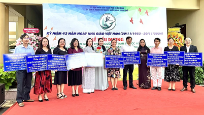 Honoring overseas Vietnamese intellectuals who have contributed to the development of Ho Chi Minh City