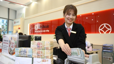 Nâng hạn mức tài trợ thương mại cho SeABank lên 40 triệu USD