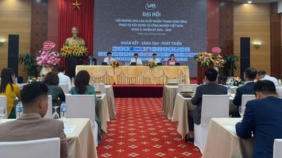សមាជសមាគមទម្រង់អាលុយមីញ៉ូមវៀតណាមសម្រាប់អាណត្តិ 2024-2029