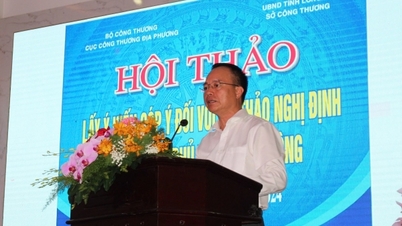 Workshop to collect opinions on draft on industrial promotion in Long An received many good opinions