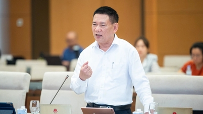 Bộ trưởng Tài chính: "Thu nhập 12 triệu/tháng ở đô thị không đủ sống"