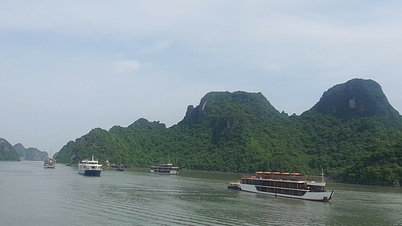 អ្នកជំនាញនិយាយថា ម្ចាស់នាវាទេសចរណ៍សង្ឃឹមសម្រាប់ការព្យាករណ៍ព្យុះកាន់តែខិតជិត អ្នកជំនាញនិយាយថា "មិនអាចទៅរួចទេ"