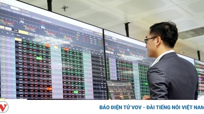 Am 15. August hat die State Securities Commission offiziell das One-Stop Information Disclosure System eingeführt.