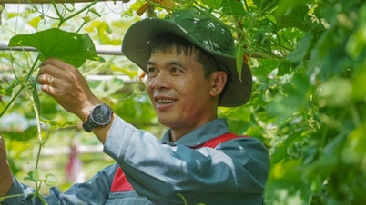 Cựu du học sinh uơm 'mầm xanh' ở quê hương