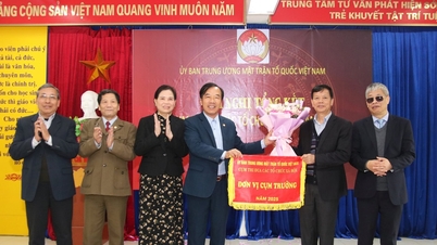 Tổng kết Cụm thi đua các tổ chức xã hội năm 2024