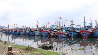 ឆ្លើយតបយ៉ាងហ្មត់ចត់ចំពោះព្យុះលេខ 8 ជាមួយនឹងកម្លាំងកម្រិត 10