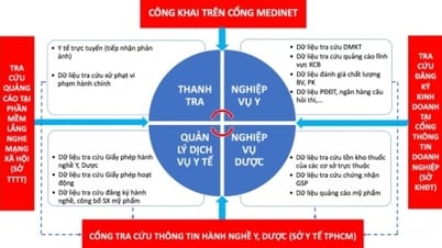TP.HCM thử nghiệm thành công “Cổng tra cứu thông tin hành nghề”