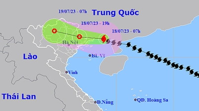 ព័ត៌មានព្យុះចុងក្រោយ 7/18៖ រសៀលនេះ ព្យុះ Talim ចូលដល់ព្រំដែនវៀតណាម។