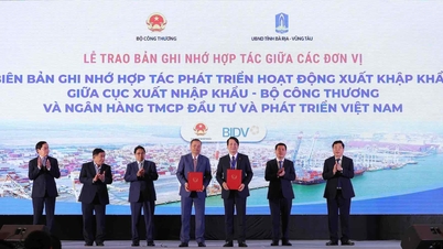 BIDV tăng cường hợp tác thúc đẩy hoạt động xuất nhập khẩu