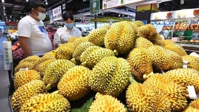 ជា​លើក​ដំបូង​ដែល​មហោស្រព​ផ្លែ​ឈើ​វៀត​ណាម​ត្រូវ​បាន​ប្រារព្ធ​ធ្វើ​នៅ​រដ្ឋធានី​ប៉េកាំង​របស់​ប្រទេស​ចិន។
