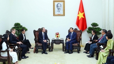 Deputy Prime Minister Le Minh Khai received the CEO of Rosen Partner LLC, USA