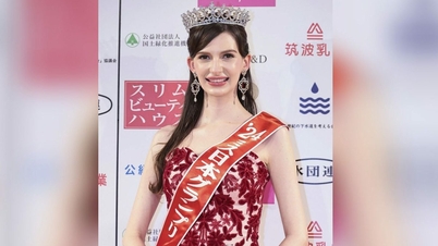 일본, 미스 우크라이나 신설 놓고 논쟁