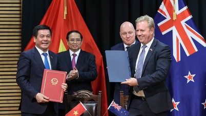 Việt Nam - New Zealand hướng tới mục tiêu kim ngạch 2 tỷ USD
