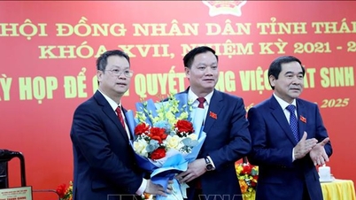 លោក Nguyen Manh Hung ត្រូវបានជ្រើសរើសជាប្រធានគណៈកម្មាធិការប្រជាជនខេត្ត Thai Binh។