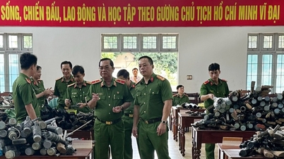 Dak Lak រក​ឃើញ​កាំភ្លើង​យោធា និង​ផលិត​ផ្ទាល់​ខ្លួន​ជាង ១៣០០ ដើម