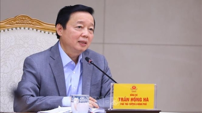 Deputy Prime Minister Tran Hong Ha: No shortage of vaccines for expanded immunization