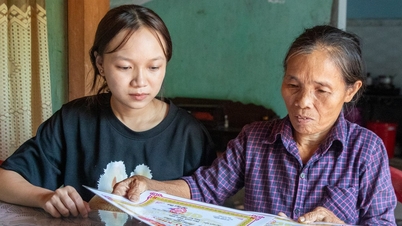 យាយ​ចិញ្ចឹម​ជ្រូក​ពេញ​មួយ​ឆ្នាំ ចិញ្ចឹម​ចៅ​ដែល​គេ​បោះ​បង់​ឲ្យ​ចូល​រៀន​នៅ​មហាវិទ្យាល័យ