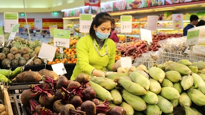 Xuất khẩu sản phẩm trồng trọt dự kiến đạt hơn 26 tỷ USD vào năm 2030