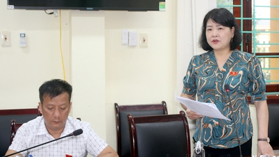 ត្រួត​ពិនិត្យ​ការ​ដោះ​ស្រាយ​បណ្តឹង​បរិហារ​នៅ​ក្នុង​តំបន់​ដី​ធ្លី​ក្នុង​ស្រុក Dien Bien