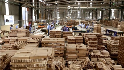 China ist der zweitgrößte Exportmarkt für Holz und Holzprodukte Vietnams. Unternehmen müssen aufpassen ...