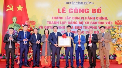 thúc đẩy sắp xếp tinh gọn tổ chức bộ máy các sở, ngành