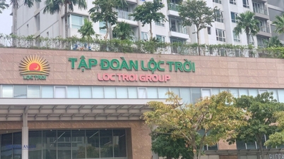 Lộc Trời (LTG) gặp khó về dòng tiền, xin hoãn nộp BCTC Quý 2