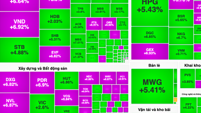 Sắc tím quay trở lại, VN-Index bật tăng 36 điểm