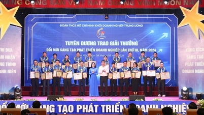 PPS Youth was awarded the 3rd "Innovation and Business Development" Award, 2024