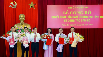 គណៈកម្មាធិការបក្សខេត្ត Nghe An ប្រកាសសេចក្តីសម្រេចលើការងារបុគ្គលិក