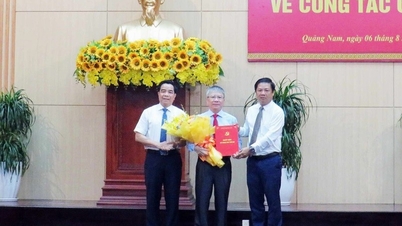 Công bố tân Phó Bí thư Tỉnh ủy Quảng Nam