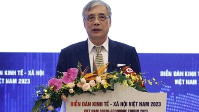 Dr. Tran Dinh Thien: Vietnamese businesses are resilient but slow to grow