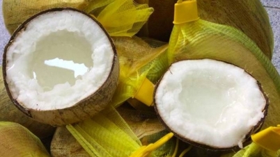Wax ដូងនាំមកនូវប្រសិទ្ធភាពសេដ្ឋកិច្ចខ្ពស់ដល់មនុស្ស