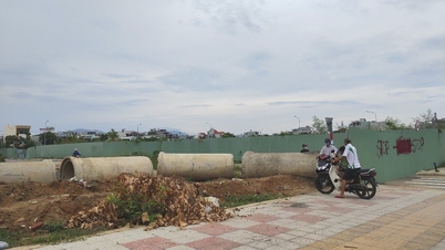 Dân “mắc kẹt” trong dự án rùa bò