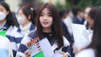 Sáng nay 10-3 tư vấn tuyển sinh hướng nghiệp tại Cần Thơ, Hải Phòng