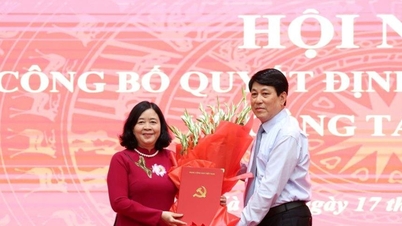 The Politburo assigned Ms. Bui Thi Minh Hoai to hold the position of Secretary of the Hanoi Party Committee.