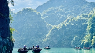Khách nước ngoài đổ xô đến vịnh Hạ Long tận hưởng sự lãng mạn mùa thu