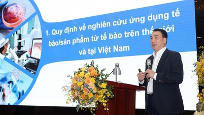 Kiểm soát về tính an toàn, hiệu quả của trị liệu tế bào