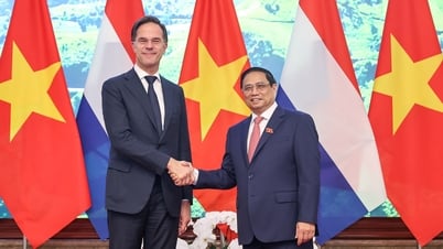 การส่งเสริมและเสริมสร้างความร่วมมือที่ครอบคลุมระหว่างเวียดนามและเนเธอร์แลนด์