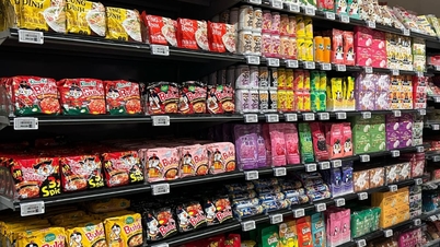 Bridge to bring Vietnamese goods gradually to the distribution chain in Belgium