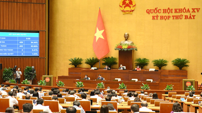 Da Nang City established Free Trade Zone