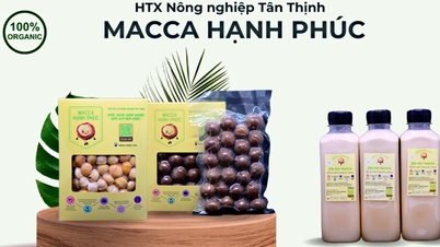 Van Chan: 2 products from macadamia nuts are recognized as 3-star OCOP
