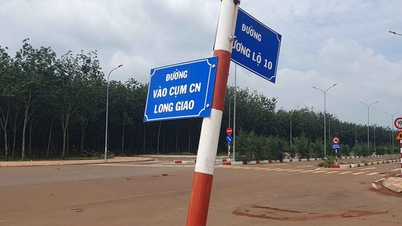 Đồng Nai đấu giá cụm công nghiệp Long Giao