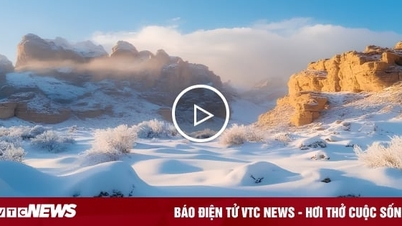 Pour la première fois de l'histoire, la neige tombe dans le désert d'Al-Jawf en Arabie saoudite