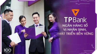 ពីយុទ្ធសាស្ត្រដល់សកម្មភាពអភិវឌ្ឍន៍ប្រកបដោយនិរន្តរភាព៖ TPBank ទទួលបានភាពជោគជ័យជាច្រើន។