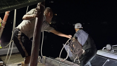 Quang Ninh handles more than 30 cases of illegal IUU fishing